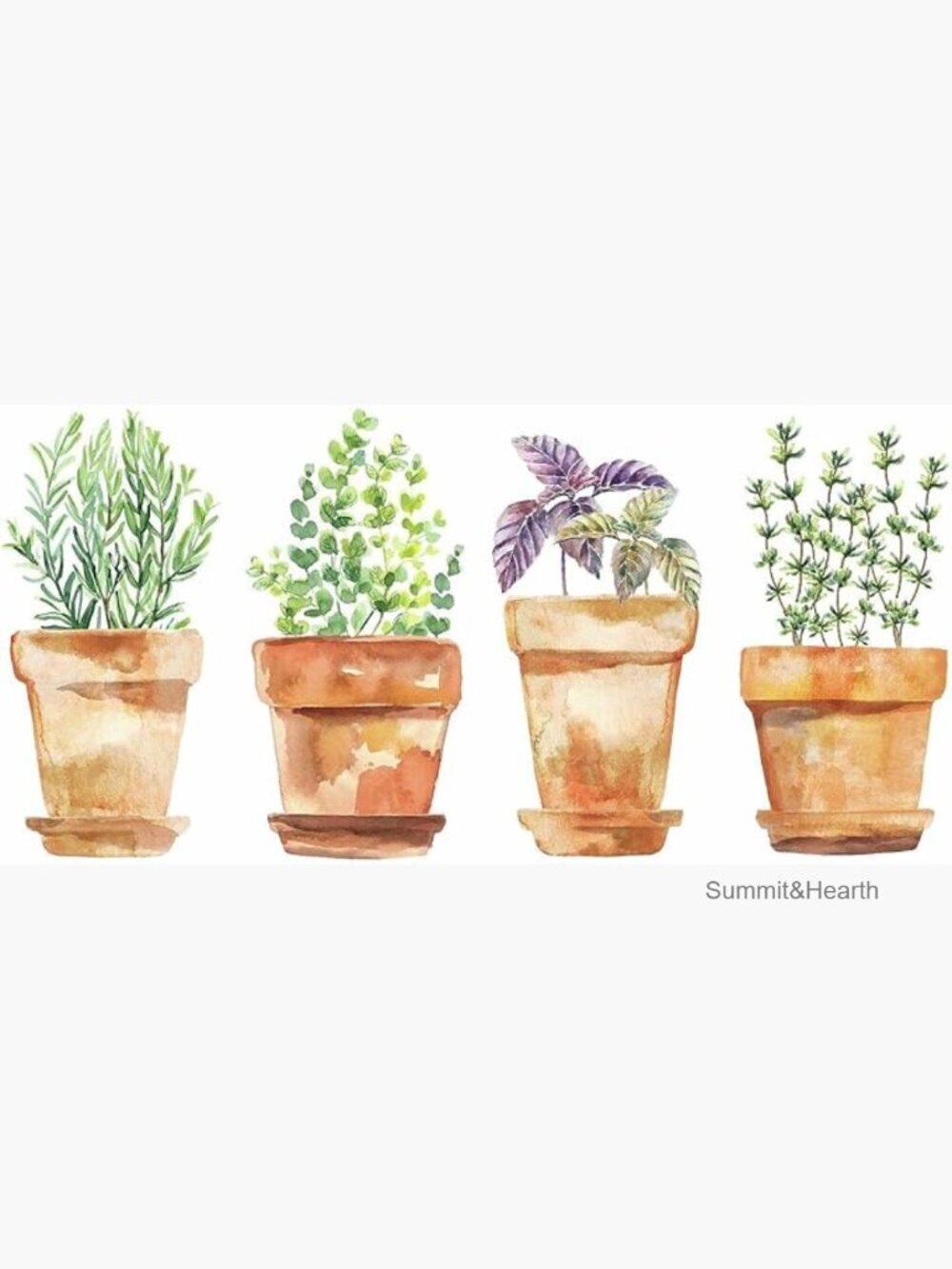 Watercolor Potted Herbs Peel and Stick Wall Decals, 4 Sheets Vinyl
